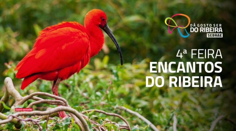 4ª edição da Feira Encantos do Ribeira reúne gastronomia, turismo e cultura regional 4a-edicao-da-feira-encantos-do-ribeira-reune-gastronomia,-turismo-e-cultura-regional